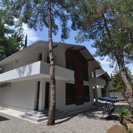 Hotel Apra Pitsunda Dış mekan fotoğraf